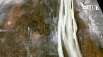 地狱厨神第六季中国拉面,地狱厨神吃拉面