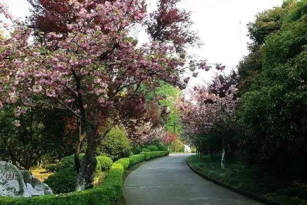 精选南岸嘿巴适农家乐，这个国庆有得耍，让你嗨到不想回家！