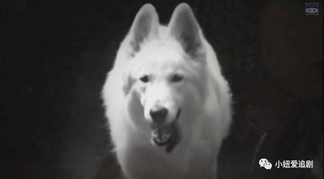 佐佐木希最经典的剧,日剧佐佐木希