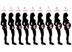 准妈妈产前十大禁忌,孕妇怀孕期的行为对宝宝有影响吗