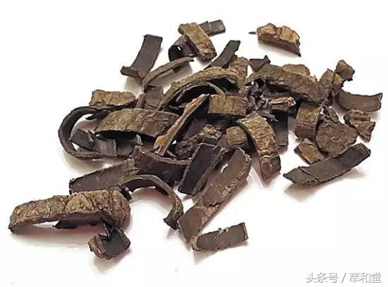 滋补科普：广东和香港人喜欢的“海马”到底是啥？