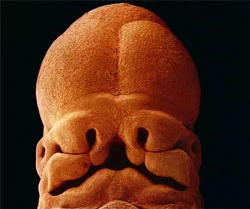 摄影师记录媳妇怀胎十月历程,摄影师拍摄中国历史