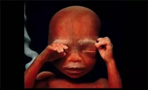 摄影师记录媳妇怀胎十月历程,摄影师拍摄中国历史