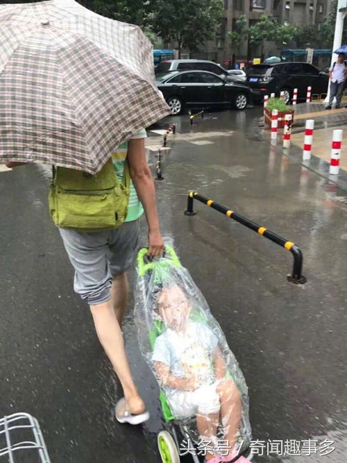 天王盖地虎，这tm真的一米吧，不过做她的猫真幸福