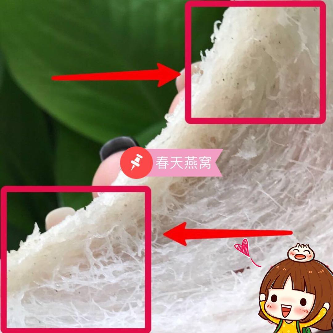 燕窝知识及鉴别哪种燕窝最好,燕窝的泡法来分辨燕窝的好坏