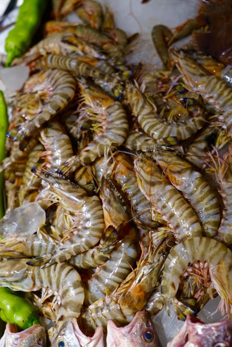 舟山沈家门海鲜东海,舟山沈家门海鲜大排档排名