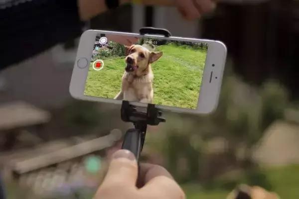 杨幂同款透明大蝴蝶手机壳好用吗,杨幂旅游攻略收纳旅行箱