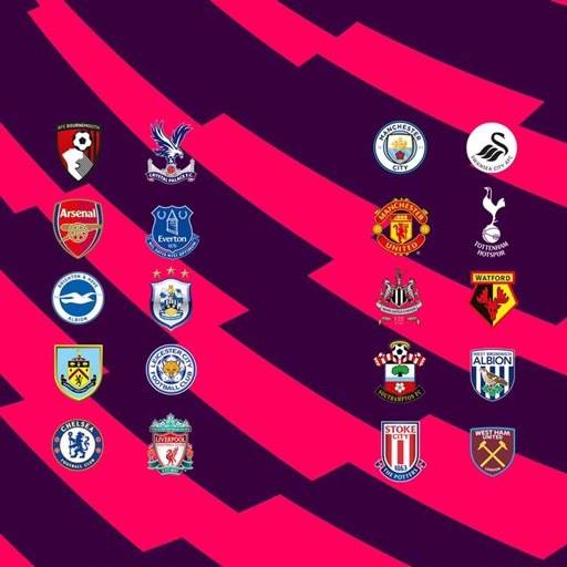 英超球队粤语译名大全,英超球队队名缩写