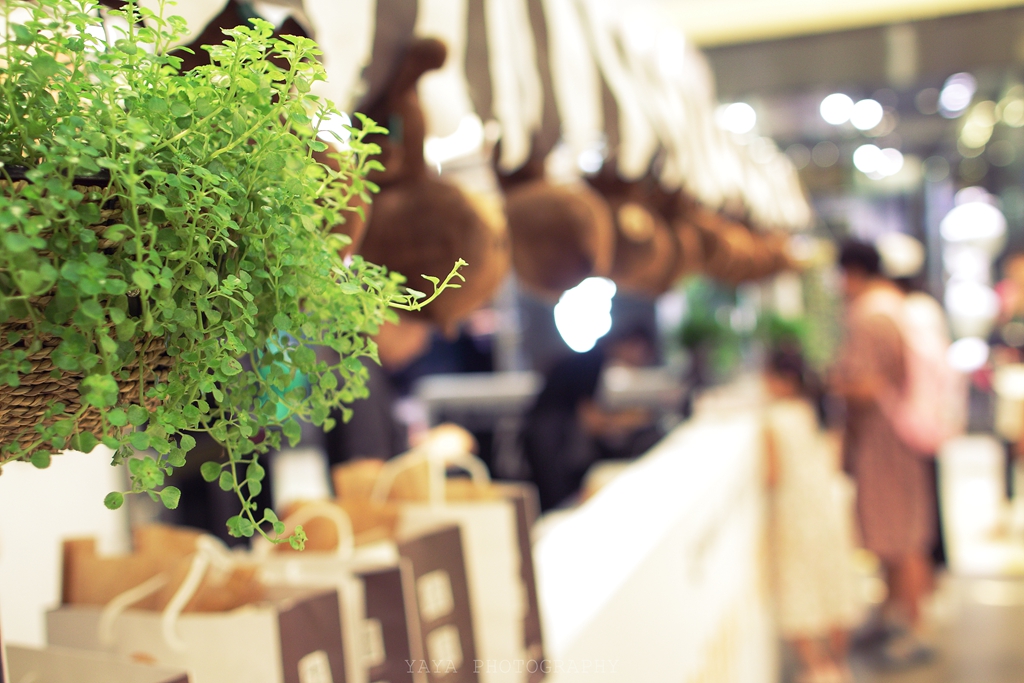 你快jiao啊，再不jiao，它就没了……