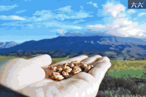 青海湖｜为了去这地儿我辞了7个月的工作