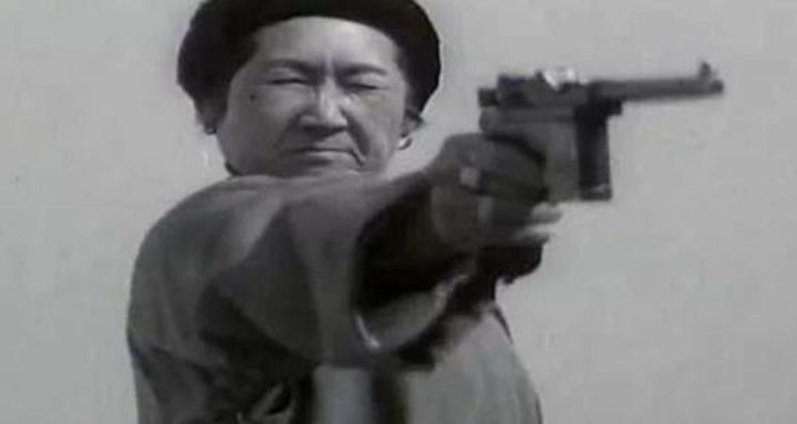 焦裕禄与淮海战役,双枪李向阳上过战场吗