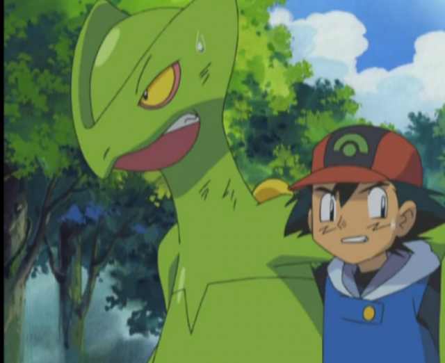 小智最强的神奇宝贝是不是皮卡丘,小智收服的十大神奇宝可梦