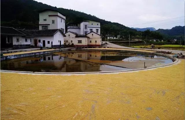 不出深圳的国庆游玩攻略,深圳国庆不出深自驾游推荐