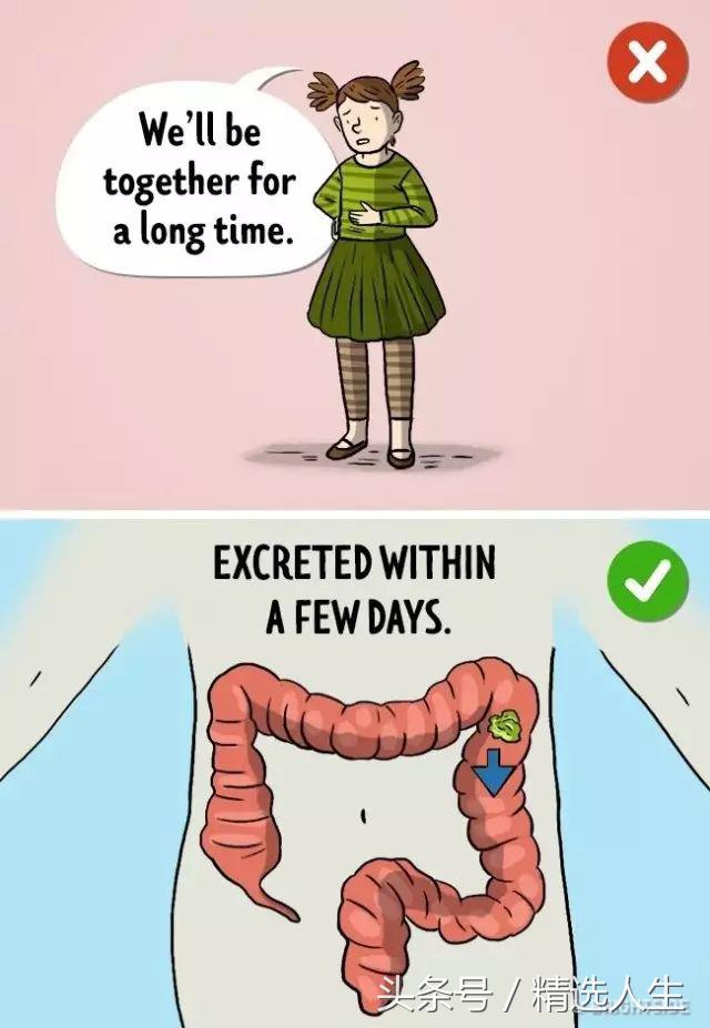 父母善意的谎言你懂吗,小时候被爸妈骗的谎言你中了几个