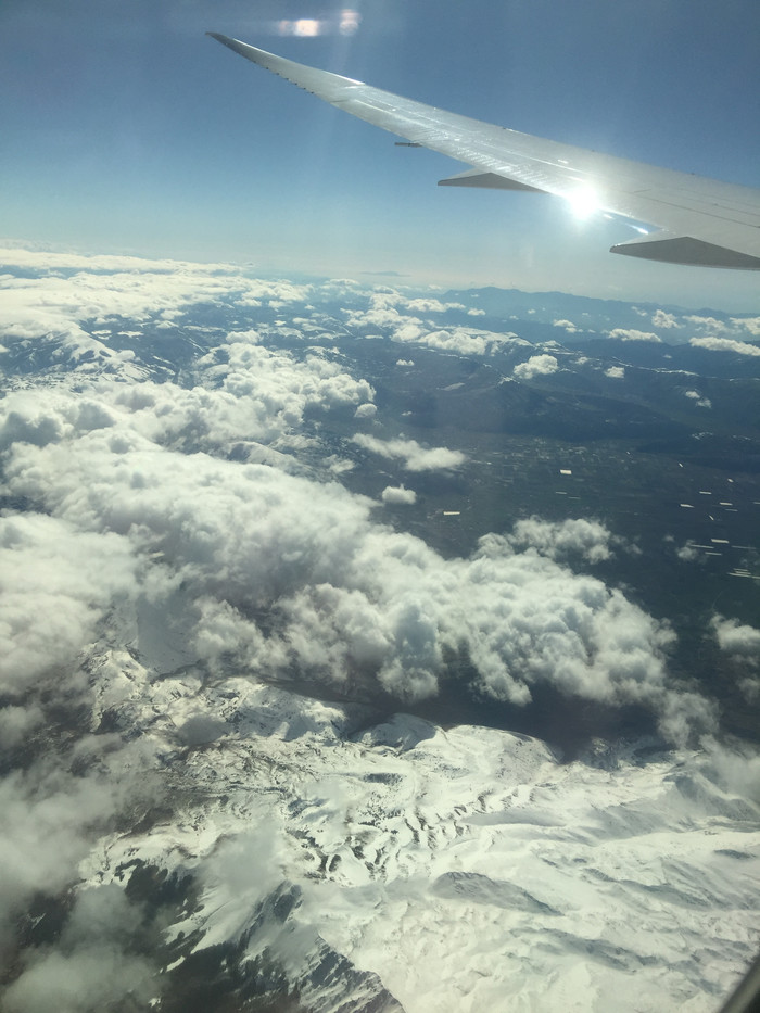 欧洲那么美，是时候去看看了——《凡尔赛玫瑰》圆梦记（上）