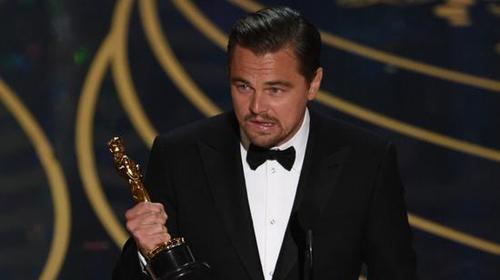 荒野猎人小李子怎么被治疗,荒野猎人小李子大战熊