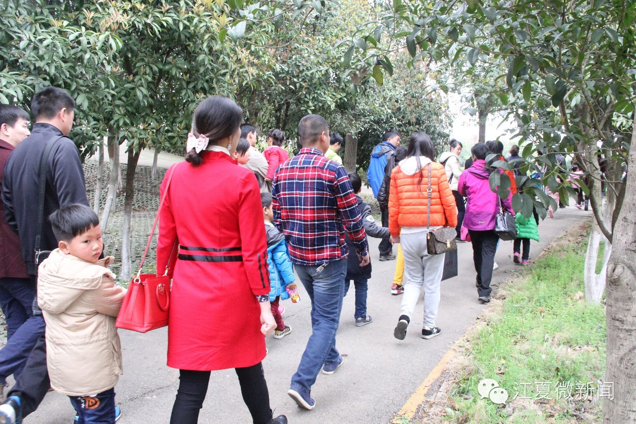 亲子植树活动信息,社区亲子植树活动