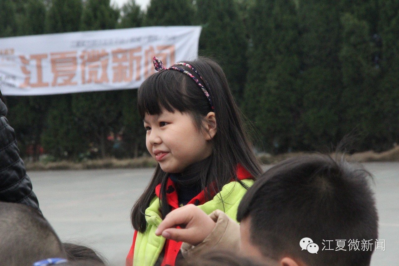 亲子植树活动信息,社区亲子植树活动