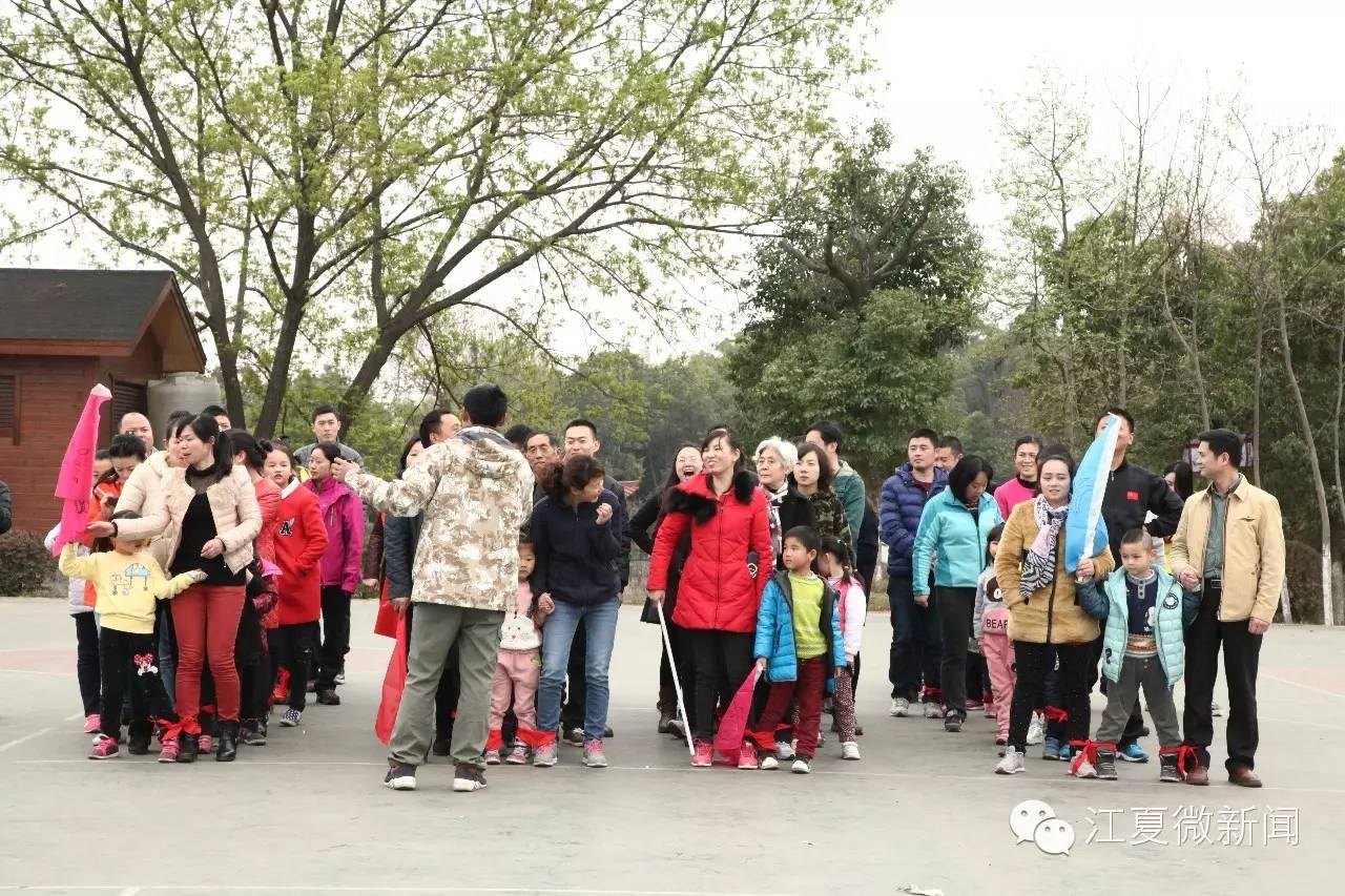 亲子植树活动信息,社区亲子植树活动