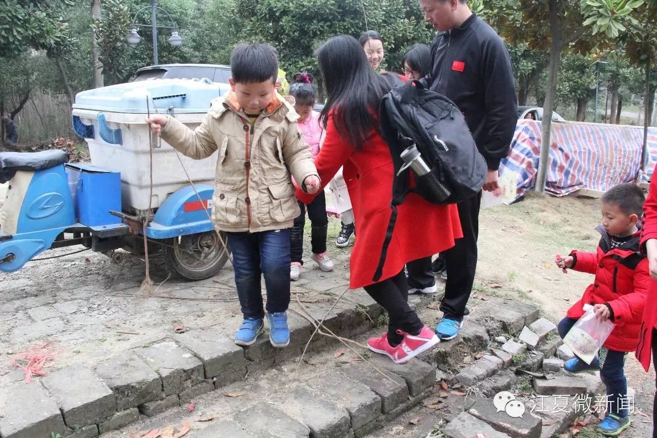 亲子植树活动信息,社区亲子植树活动