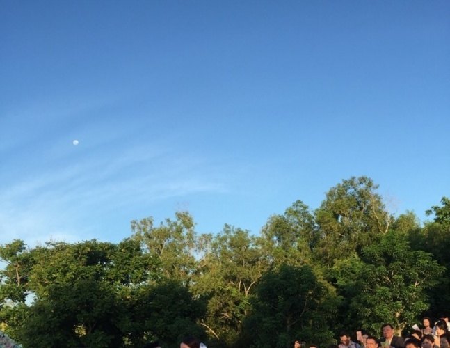 隆诗大婚深情告白霍建华抢合照新郎扬言生5个