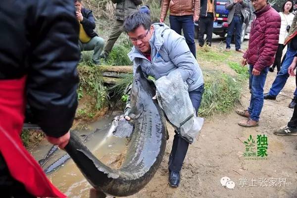 钓了8小时鱼塘老板哭了,黑坑老板被钓鱼人打崩溃