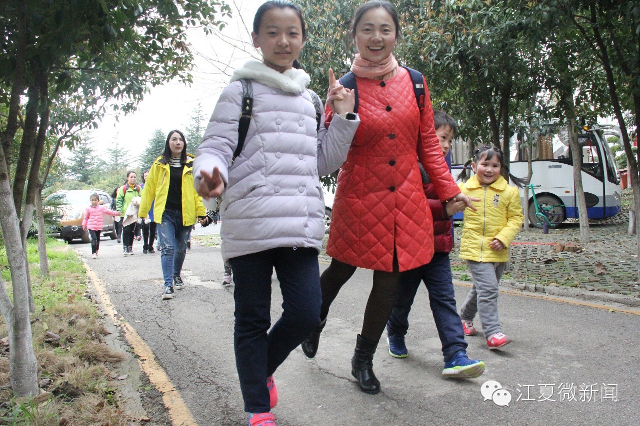 亲子植树活动信息,社区亲子植树活动