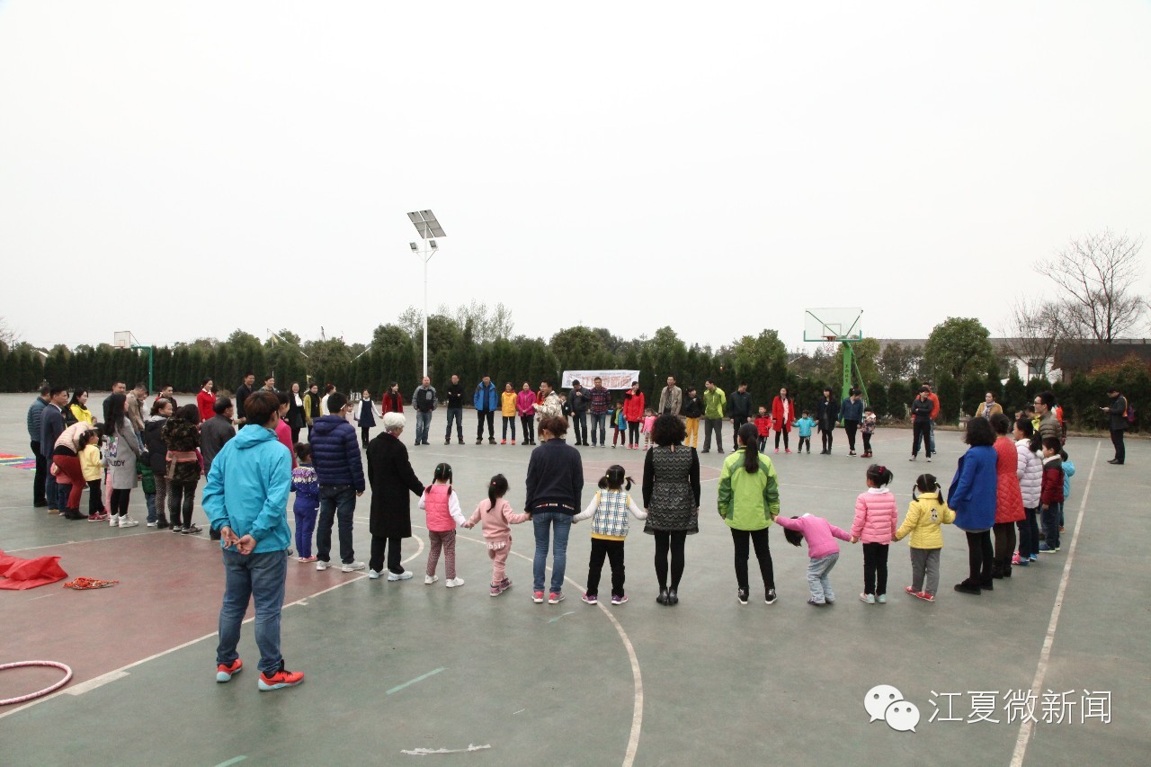 亲子植树活动信息,社区亲子植树活动