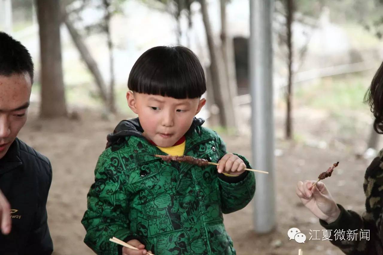 亲子植树活动信息,社区亲子植树活动