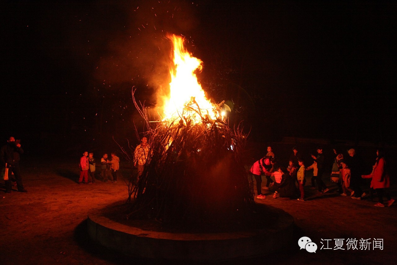 亲子植树活动信息,社区亲子植树活动