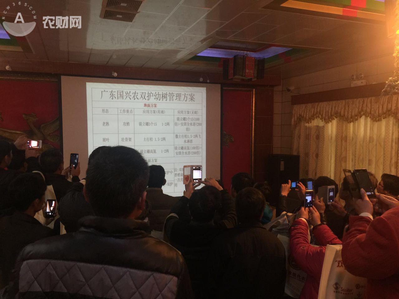 清远有一场会农民听出了耳油?点击进入·····