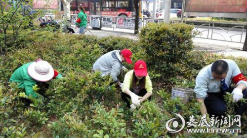 娄底市园林管理处,弯腰行动树校园新风