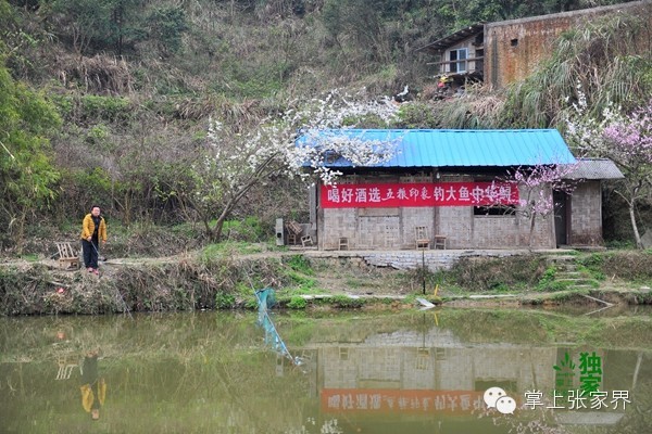 钓了8小时鱼塘老板哭了,黑坑老板被钓鱼人打崩溃