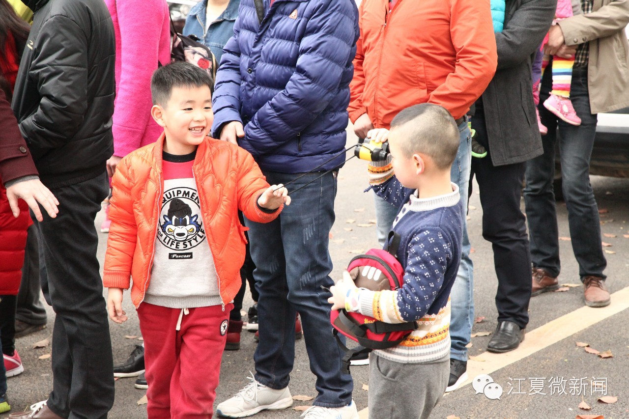 亲子植树活动信息,社区亲子植树活动