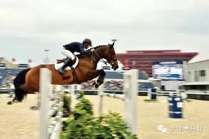 33秒赚111万!股市靠边站,疯狂的上海环球马术冠军赛来啦