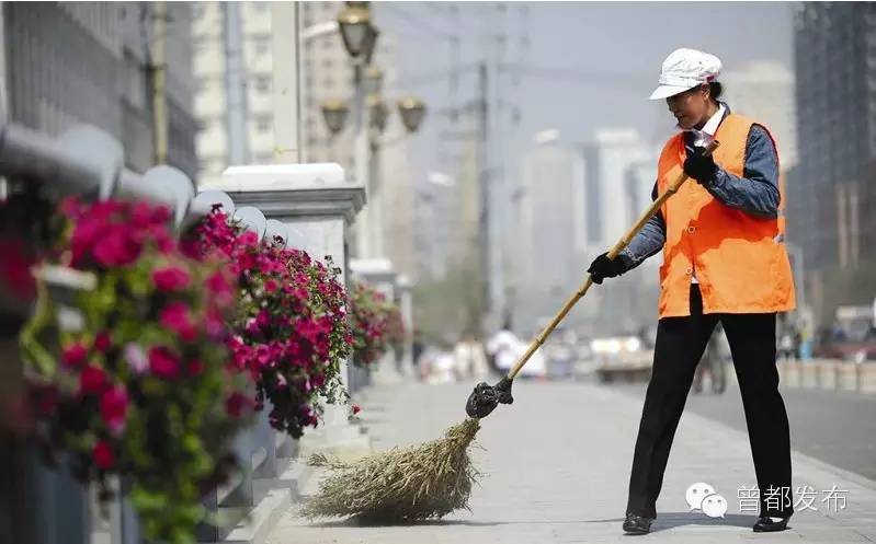 寒风中绽放的黄玫瑰，大写的赞！