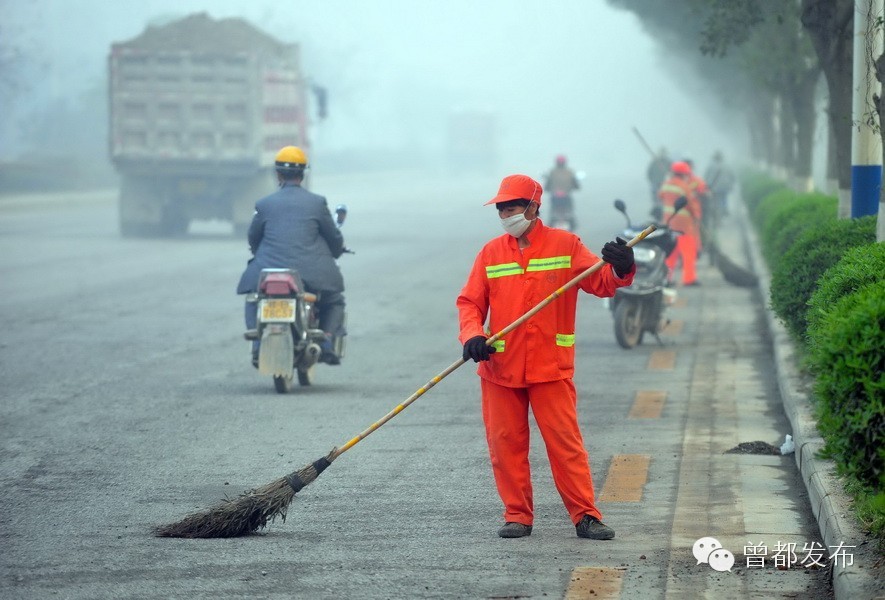 寒风中绽放的黄玫瑰，大写的赞！