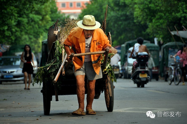 寒风中绽放的黄玫瑰，大写的赞！