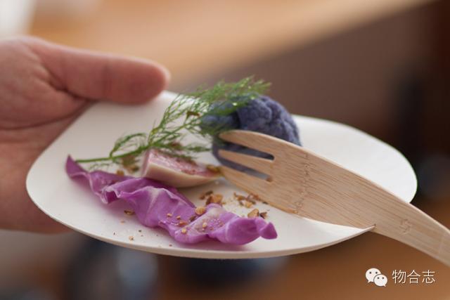 WASARA|甘蔗做的器具真的很好用么？