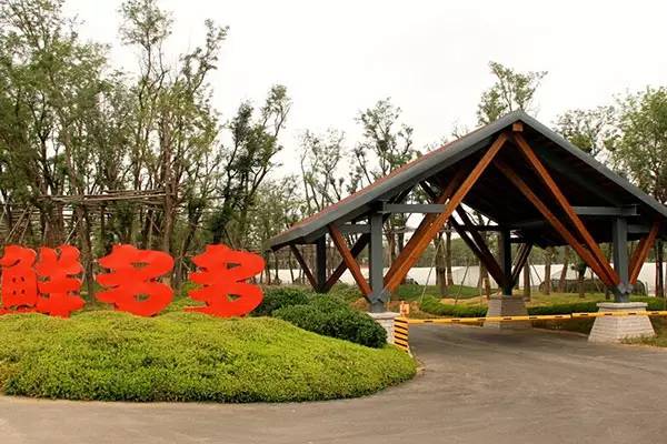 去青岛看海去迪士尼,青岛迪士尼乐园