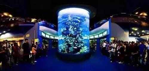 去青岛看海去迪士尼,青岛迪士尼乐园