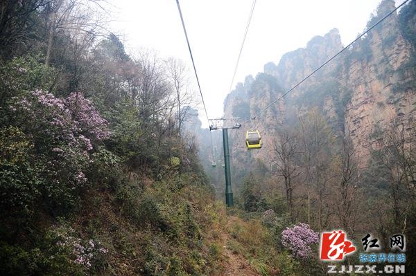 鏃╅鏂伴椈涓夊垎閽熺煡鏅撳ぉ涓嬩簨,姣忓ぉ涓夊垎閽熺煡鏅撳ぉ涓嬩簨鏂伴椈鏃╅
