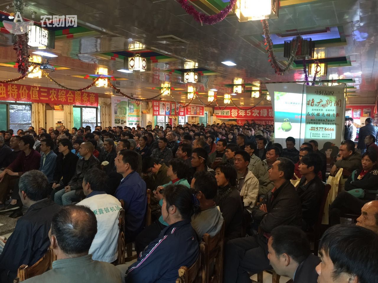 清远有一场会农民听出了耳油?点击进入·····