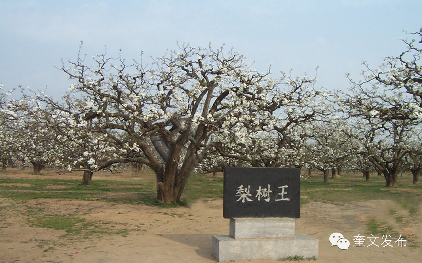 小手牵大手一同去郊游,小手拉着大手一起郊游