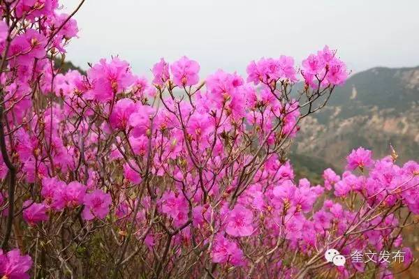 小手牵大手一同去郊游,小手拉着大手一起郊游