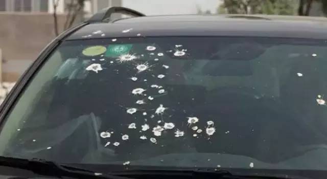 小鸟被恶鸟袭击,被鸟粪袭击怎么办