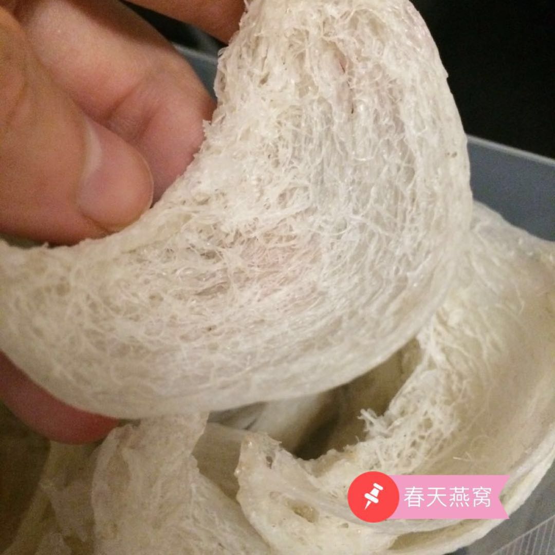 燕窝知识及鉴别哪种燕窝最好,燕窝的泡法来分辨燕窝的好坏