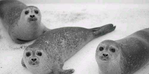 各国发生的离奇案件,各国的灵异事件