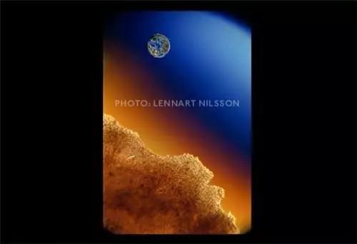 摄影师记录媳妇怀胎十月历程,摄影师拍摄中国历史