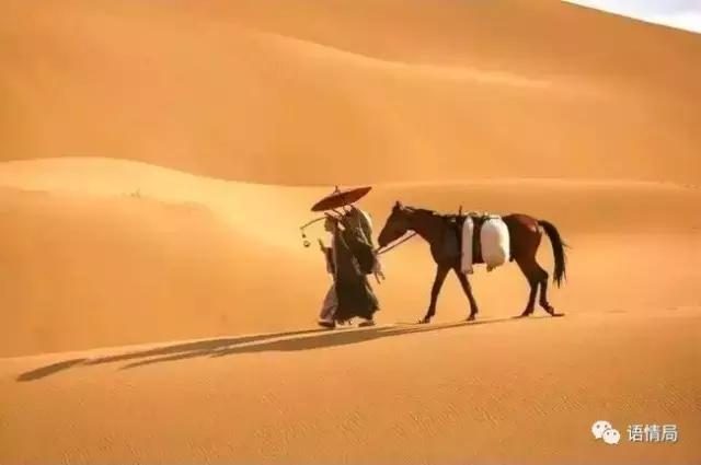 新鲜水果芒果奇异果,芒果菠萝类似的水果是什么